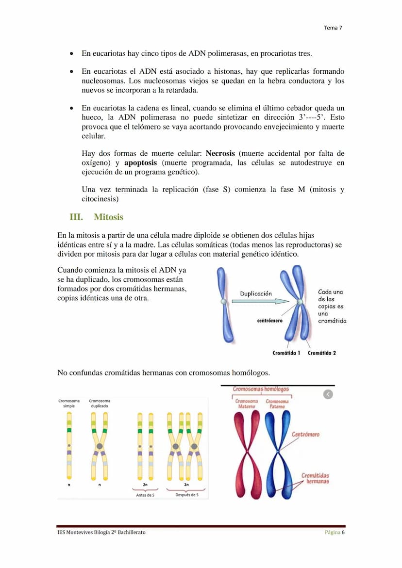 Tema 7 Reproducción Celular
I.
Ciclo Celular
El ciclo celular es un conjunto ordenado de sucesos que conducen al crecimiento de
la célula y 