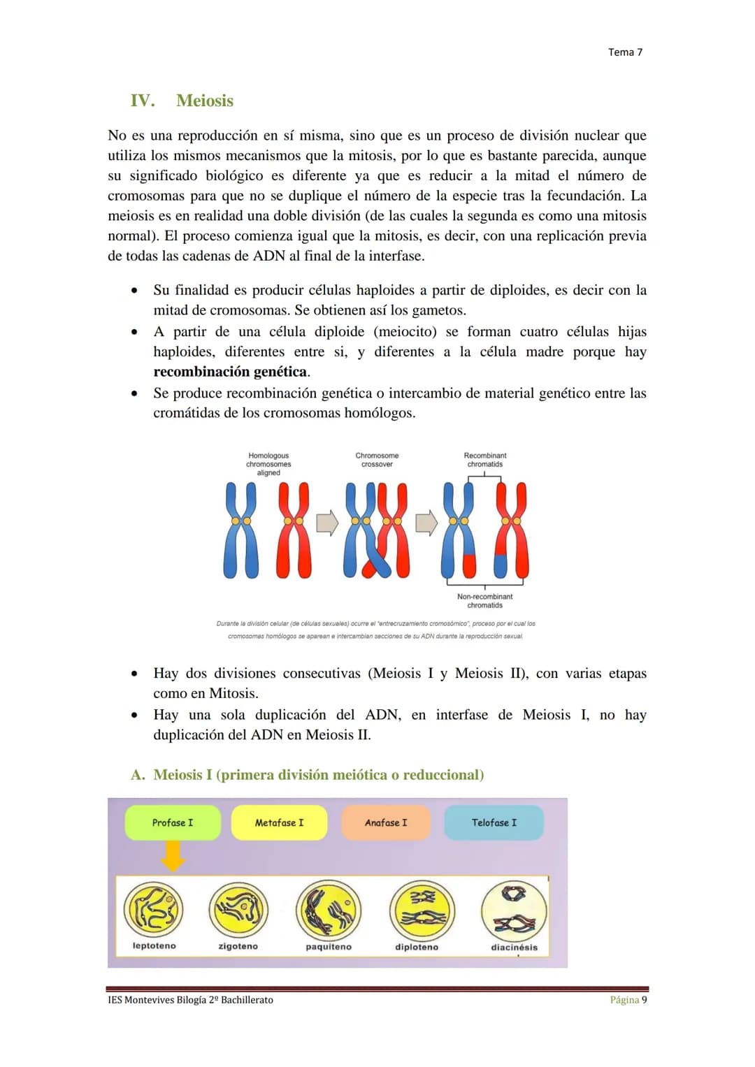 Tema 7 Reproducción Celular
I.
Ciclo Celular
El ciclo celular es un conjunto ordenado de sucesos que conducen al crecimiento de
la célula y 