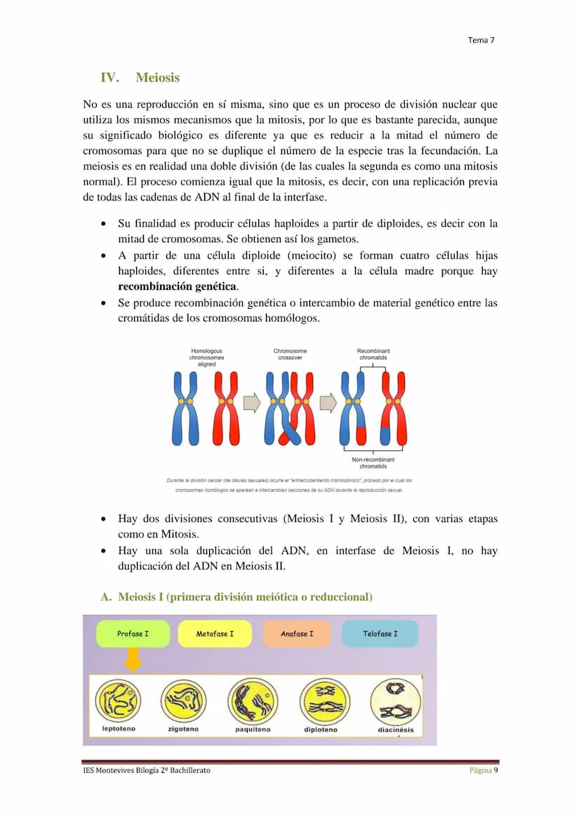 Tema 7 Reproducción Celular
I.
Ciclo Celular
El ciclo celular es un conjunto ordenado de sucesos que conducen al crecimiento de
la célula y 