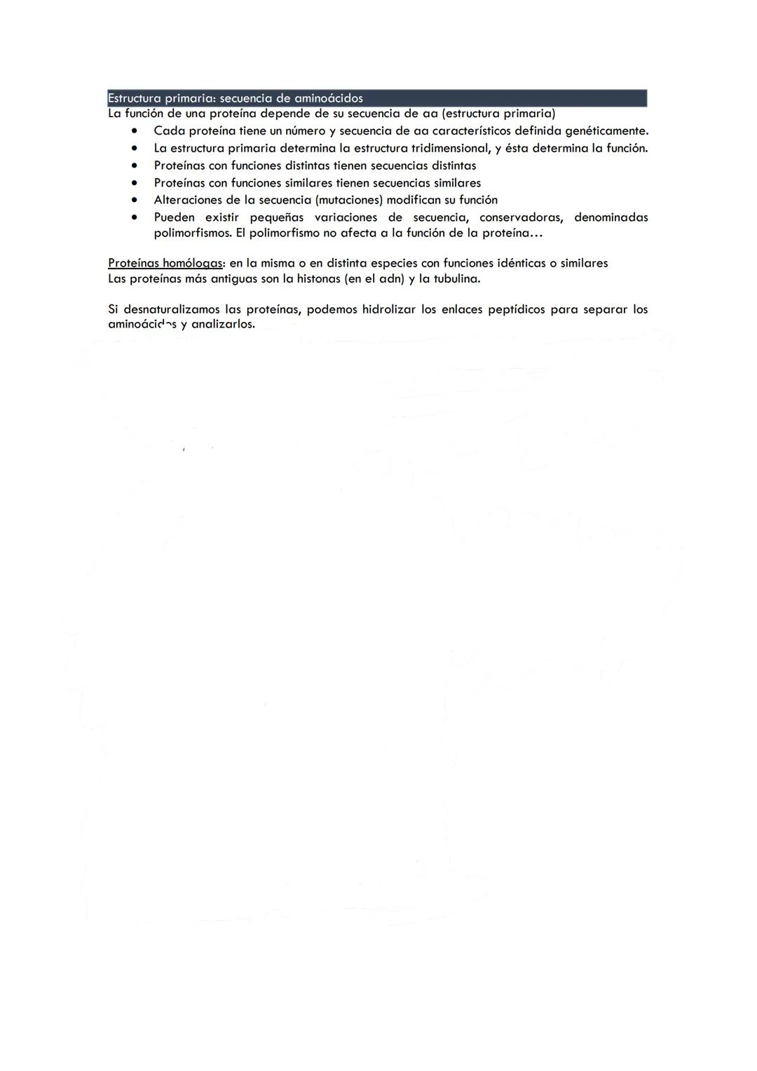 TEMA 2B. ESTRUCTURA PRIMARIA DE LAS PROTEÍNAS: ENLACE PEPTÍDICO
Niveles estructurales de las proteínas
●
●
●
Estructura primaria: Secuencia 