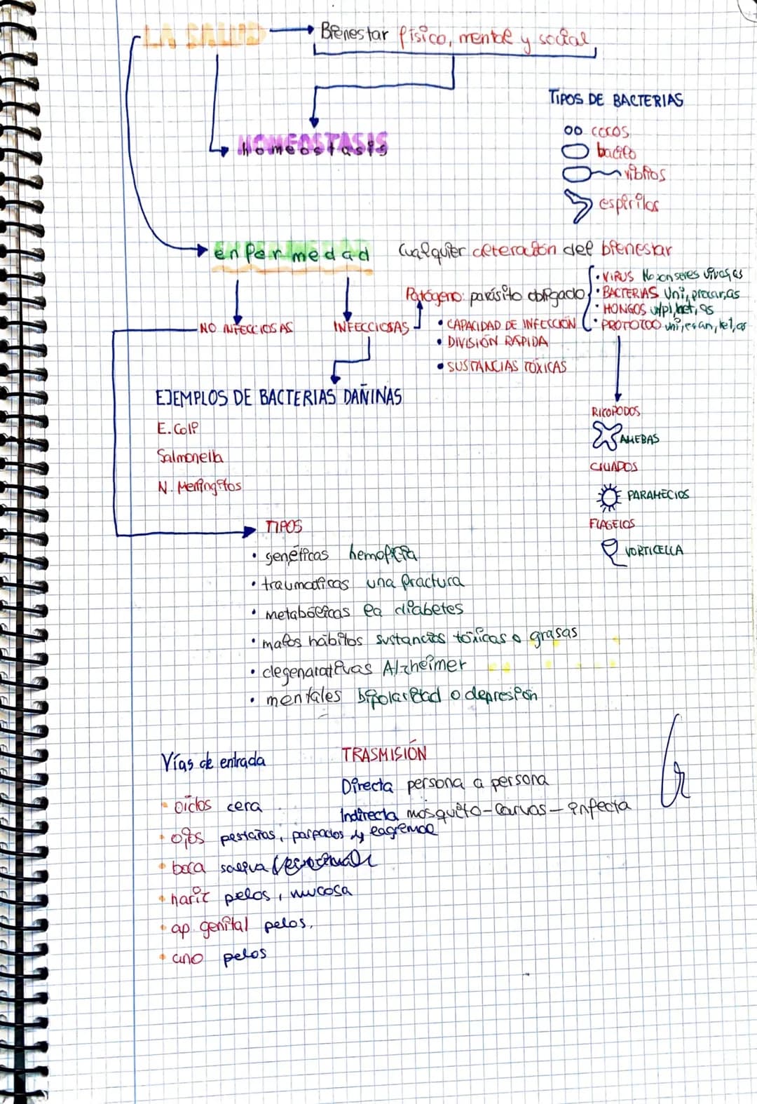 Bienestar físico, mental y social.
4 HOMEOSTASIS
-NO INFECCIOS AS
enfermedad Cualquier alteración del bienestar
INFECCIOSAS
EJEMPLOS DE BACT