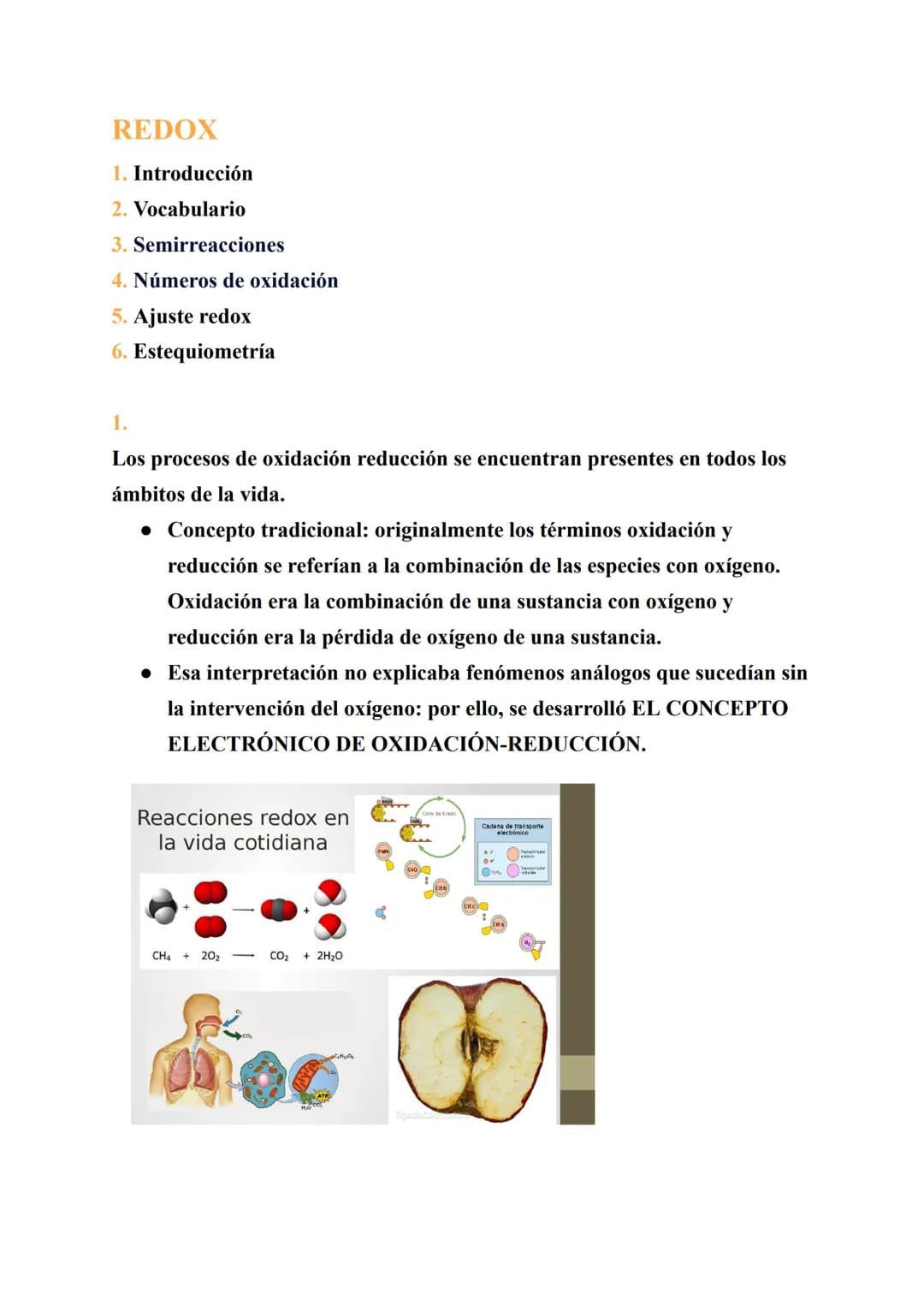 REDOX
1. Introducción
2. Vocabulario
3. Semirreacciones
4. Números de oxidación
5. Ajuste redox
6. Estequiometría
1.
Los procesos de oxidaci