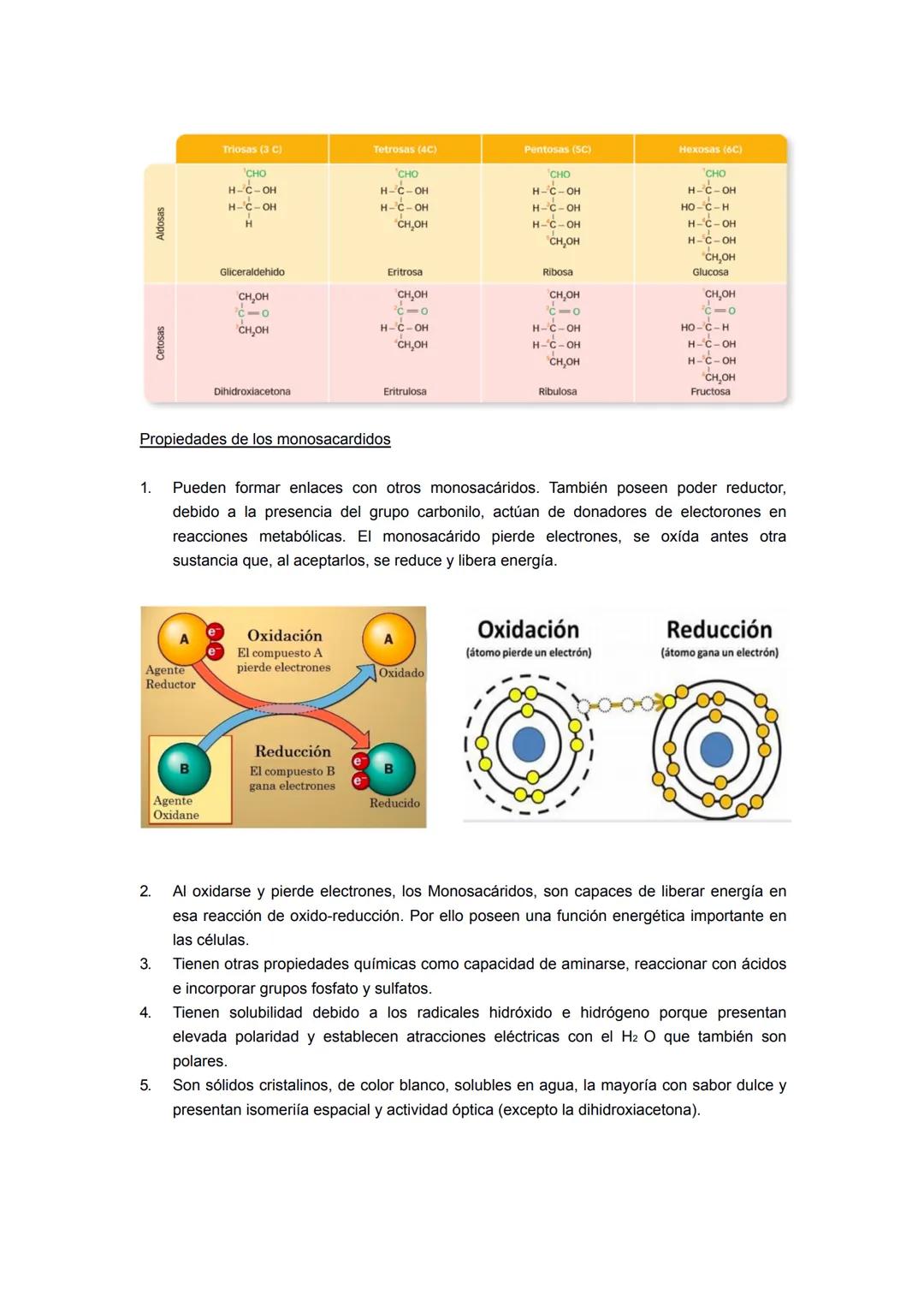 Los glúcidos son compuestos orgánicos formados por CnH2nON, son llamados azucares,
hidratos de carbono o carbohidratos. Químicamente forman 