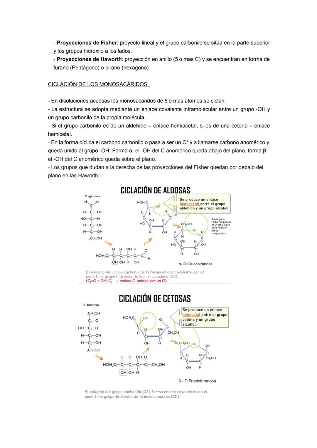 Los glúcidos son compuestos orgánicos formados por CnH2nON, son llamados azucares,
hidratos de carbono o carbohidratos. Químicamente forman 