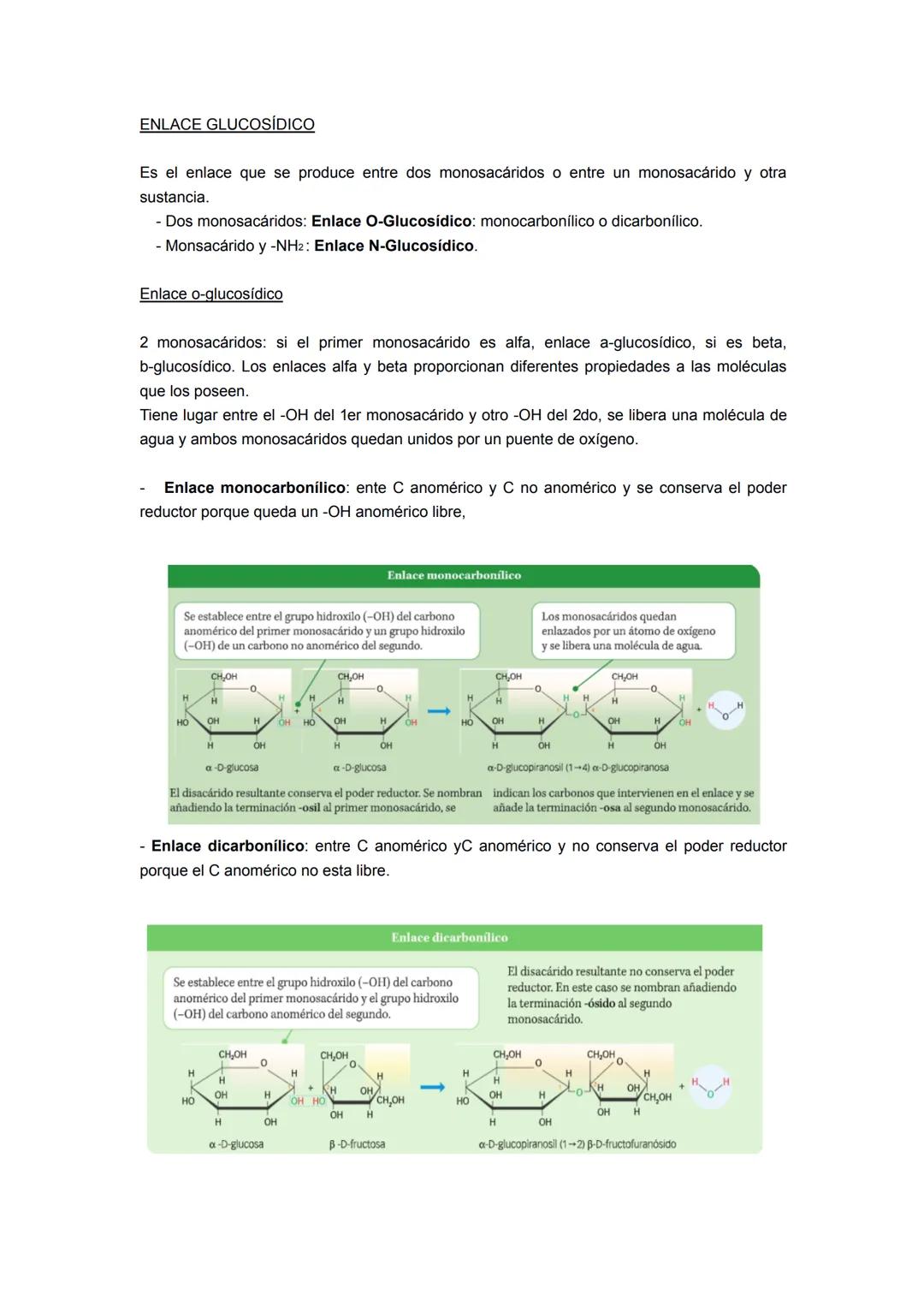 Los glúcidos son compuestos orgánicos formados por CnH2nON, son llamados azucares,
hidratos de carbono o carbohidratos. Químicamente forman 