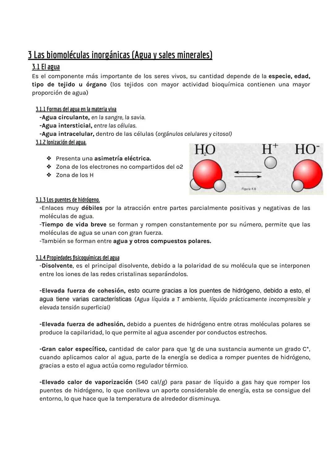 Tema 1: BIOELEMENTOS Y BIOMOLÉCULAS
1 Los bioelementos.
-Son los elementos químicos que forman los seres vivos, pero no son exclusivos de es