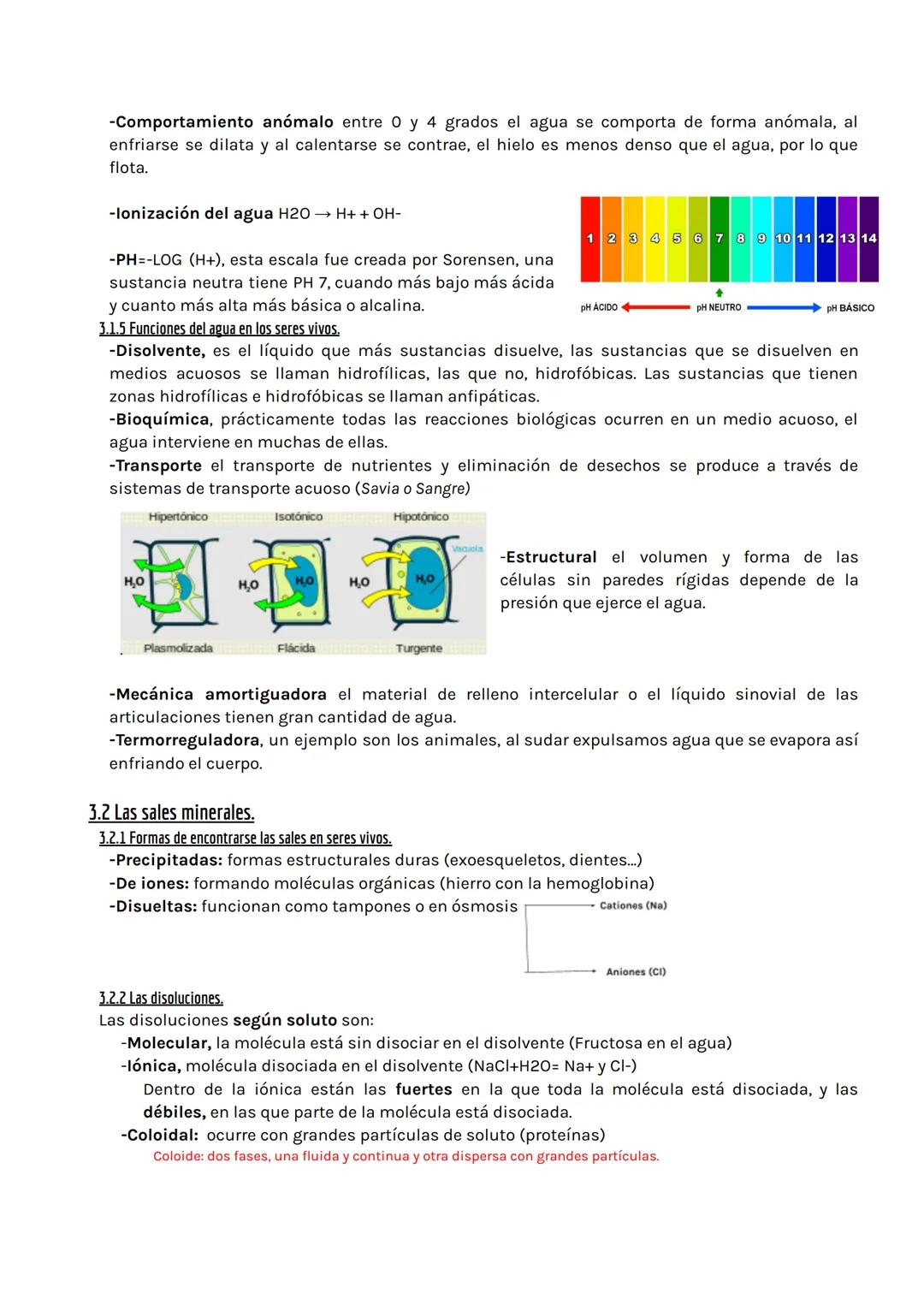 Tema 1: BIOELEMENTOS Y BIOMOLÉCULAS
1 Los bioelementos.
-Son los elementos químicos que forman los seres vivos, pero no son exclusivos de es