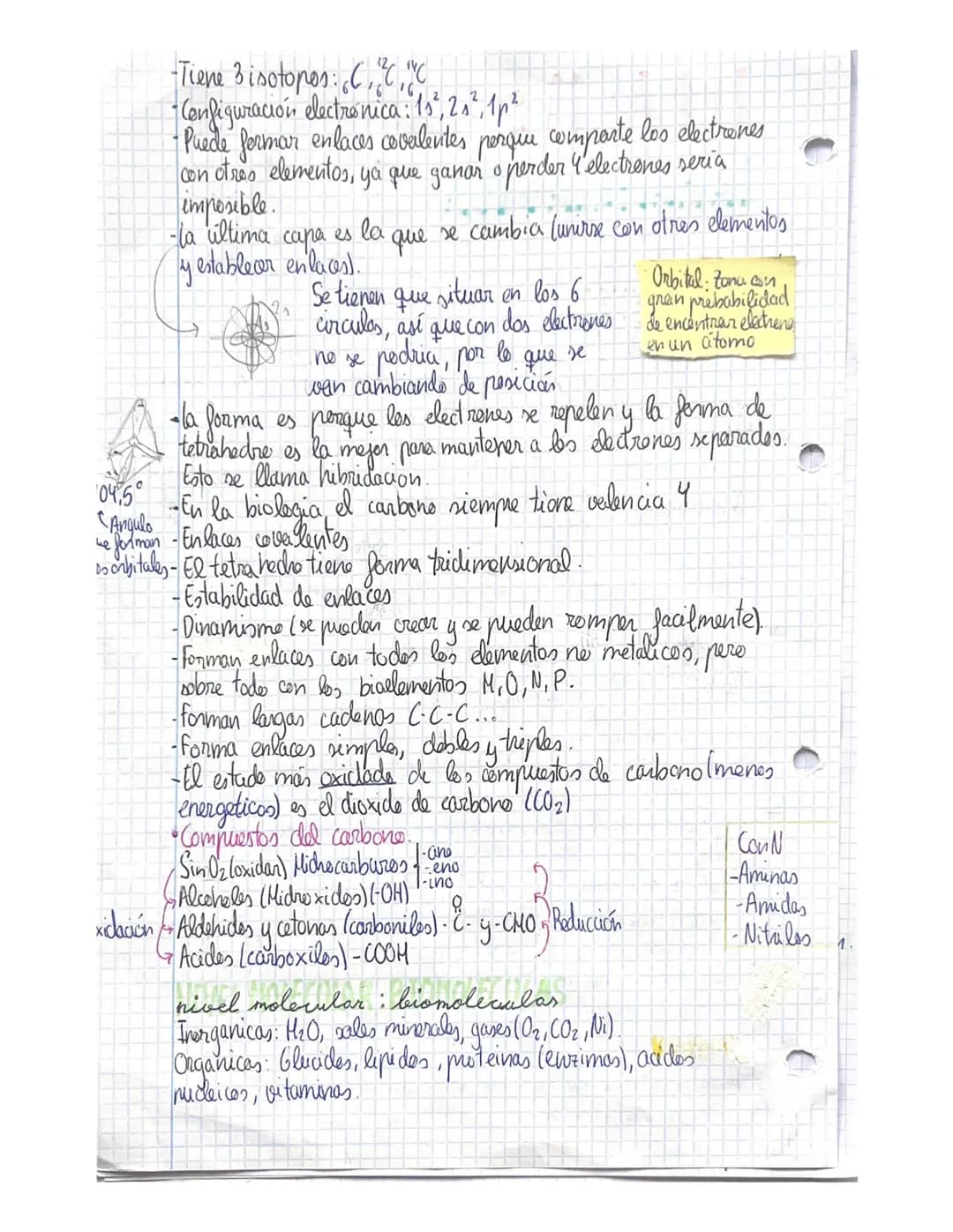 1
BIOELEMENTOS
TEMAS 182
LA MATERIA VIVA
El termino materia viva se utiliza para designar el tipo de
estan compuestos todos los seres vivos.