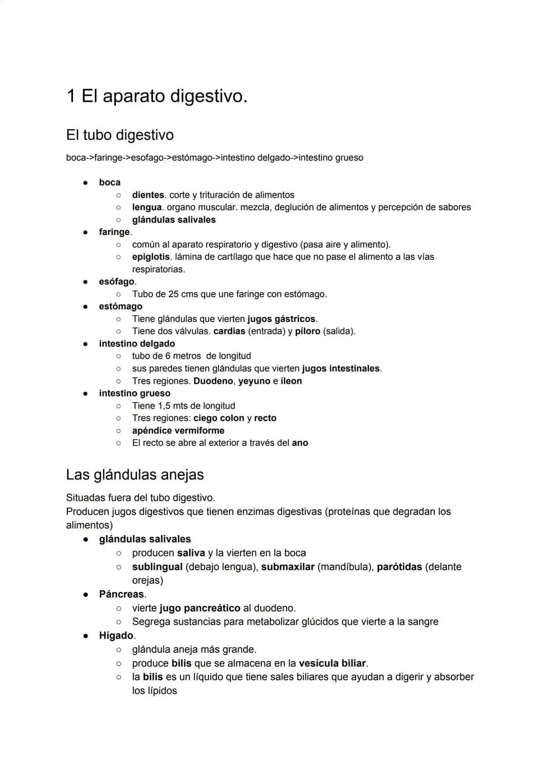 Esquema del Aparato Digestivo: Todo lo Que Necesitas Saber