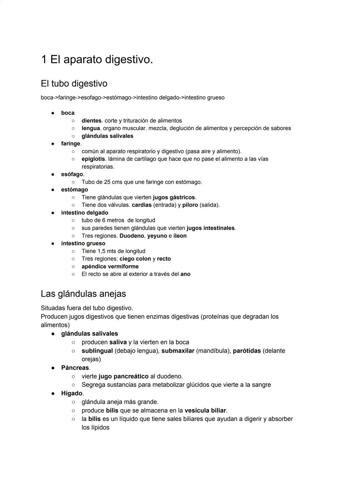 Esquema del Aparato Digestivo: Todo lo Que Necesitas Saber