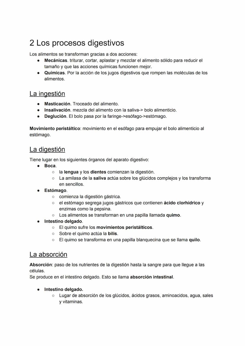 
<p>El esquema del aparato digestivo consta de varias partes, como la boca, la faringe, el esófago, el estómago, el intestino delgado y el i