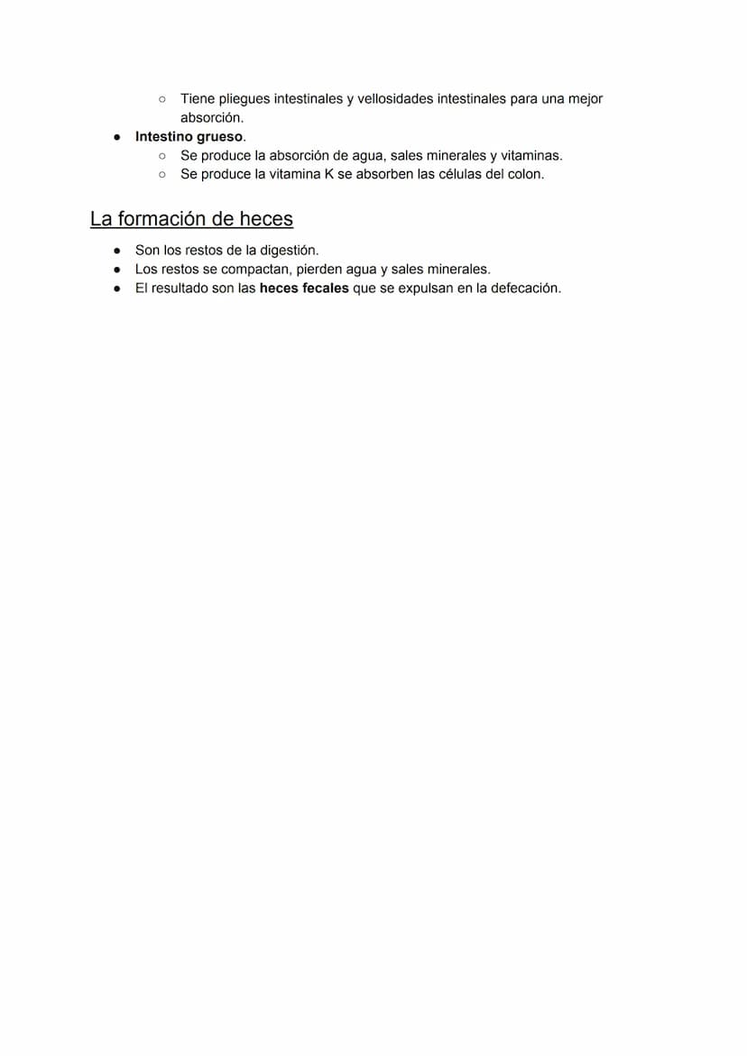 
<p>El esquema del aparato digestivo consta de varias partes, como la boca, la faringe, el esófago, el estómago, el intestino delgado y el i