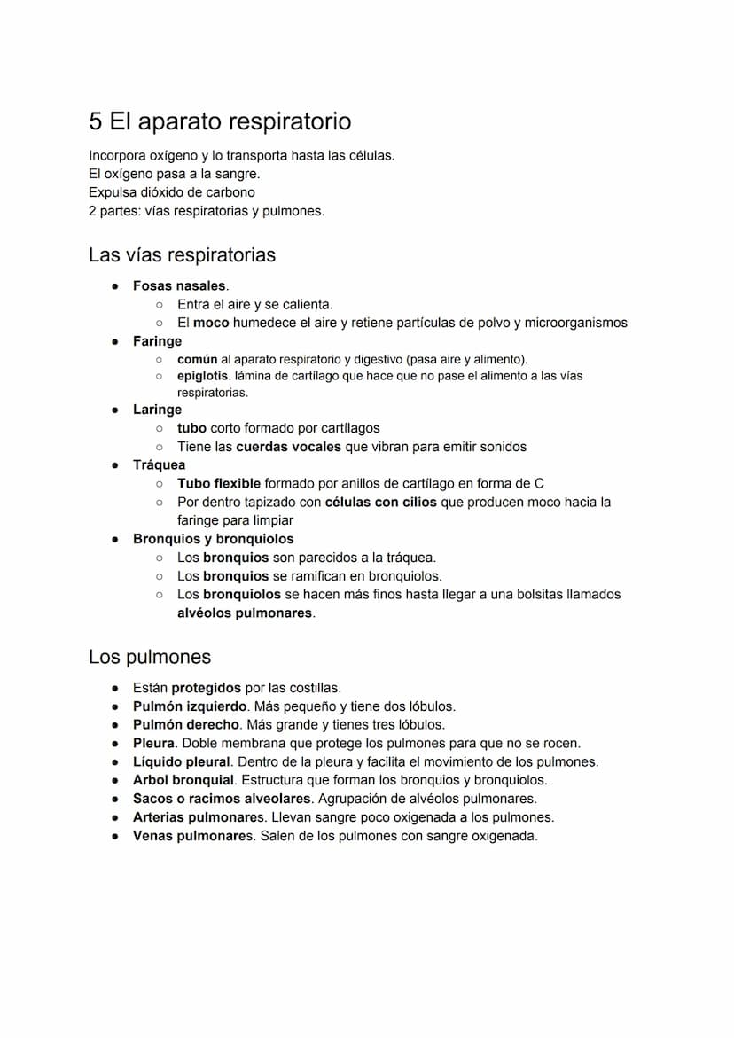 
<p>El esquema del aparato digestivo consta de varias partes, como la boca, la faringe, el esófago, el estómago, el intestino delgado y el i