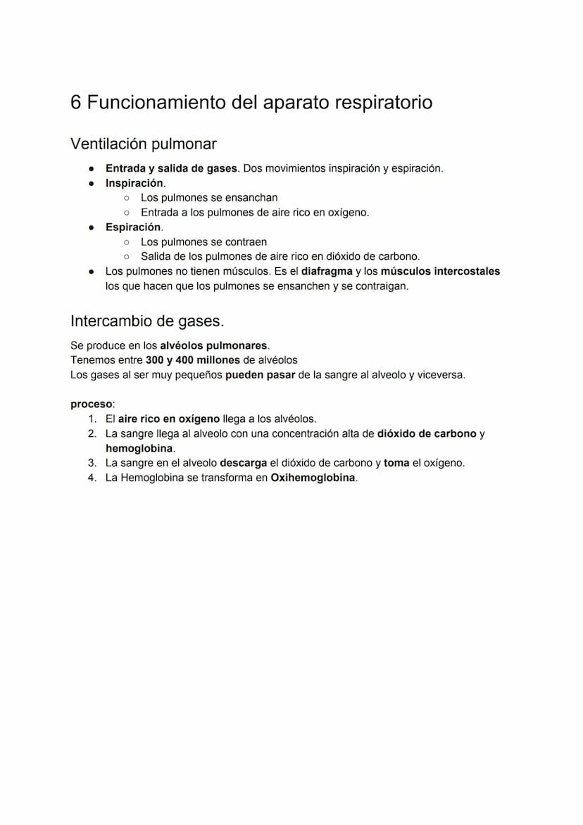 
<p>El esquema del aparato digestivo consta de varias partes, como la boca, la faringe, el esófago, el estómago, el intestino delgado y el i