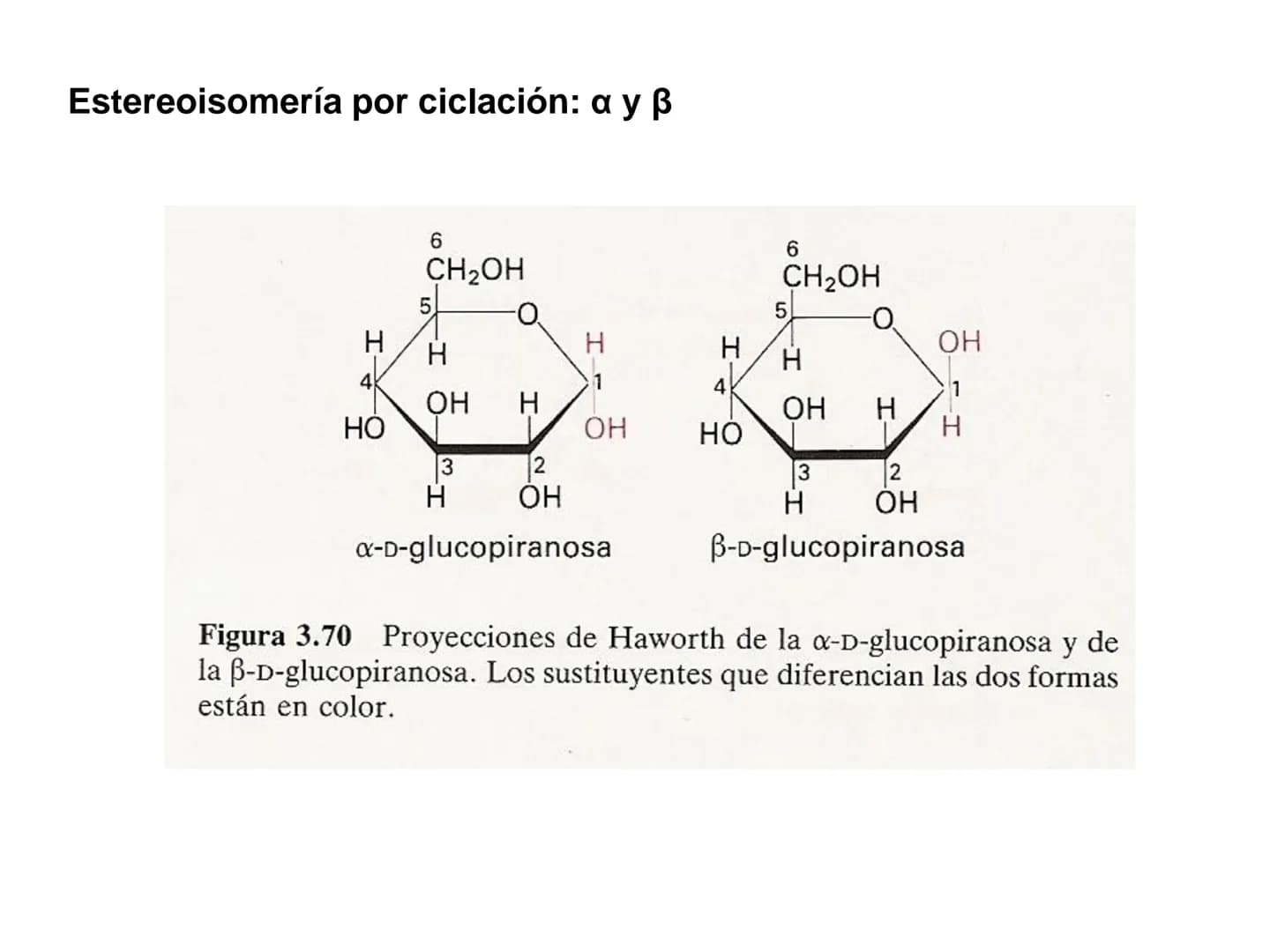 Introducción
GLUCIDOS
También llamados hidratos de carbono o sacáridos
Contienen C, HY O
Químicamente son polihidroxialdehídos o polihidroxi