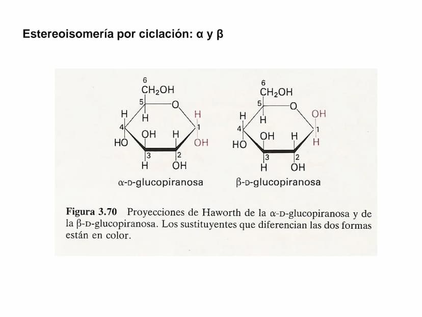 Introducción
GLUCIDOS
También llamados hidratos de carbono o sacáridos
Contienen C, HY O
Químicamente son polihidroxialdehídos o polihidroxi