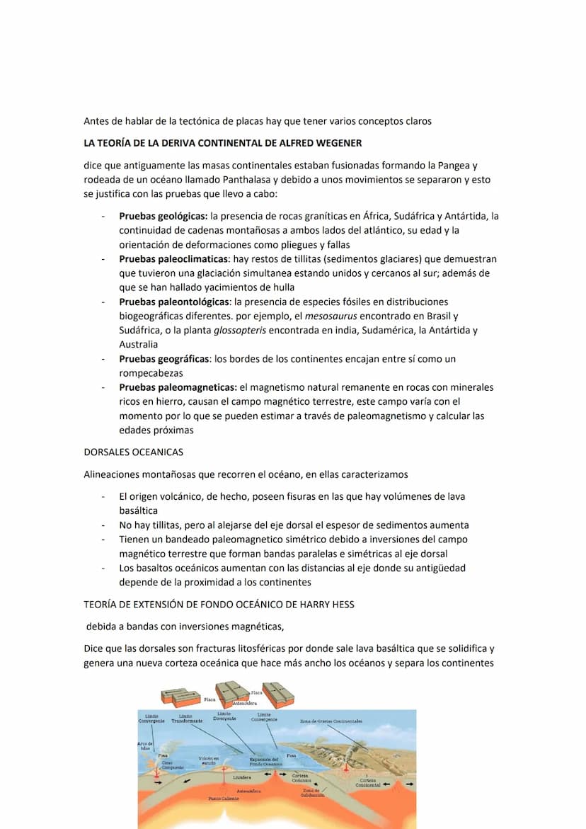 ESTRUCTURA Y COMPOSICIÓN DE LA TIERRA.
DINÁMICA LITOSFÉRICA
Trabajo GEOLOGÍA INDICE
ESTRUCTURA Y COMPOSICION DE LA TIERRA
Métodos de estudio