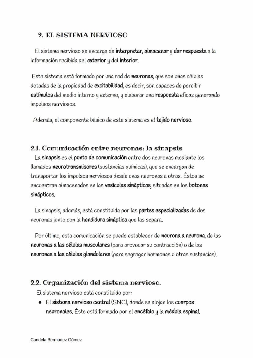 El sistema nervioso
1. LA FUNCIÓN DE RELACIÓN
La función de relación es el resultado de la acción conjunta de los sistemas de
coordinación. 