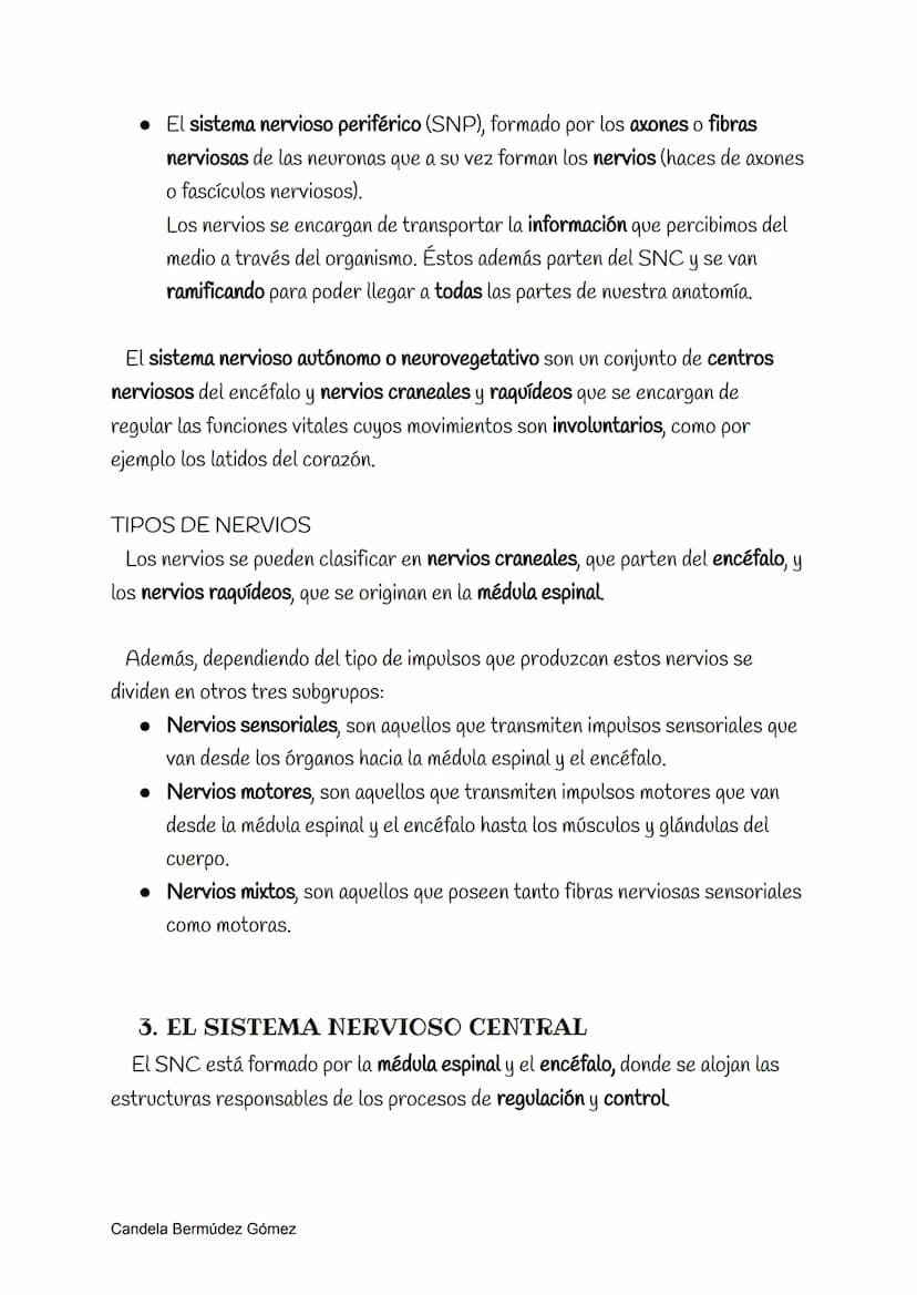 El sistema nervioso
1. LA FUNCIÓN DE RELACIÓN
La función de relación es el resultado de la acción conjunta de los sistemas de
coordinación. 