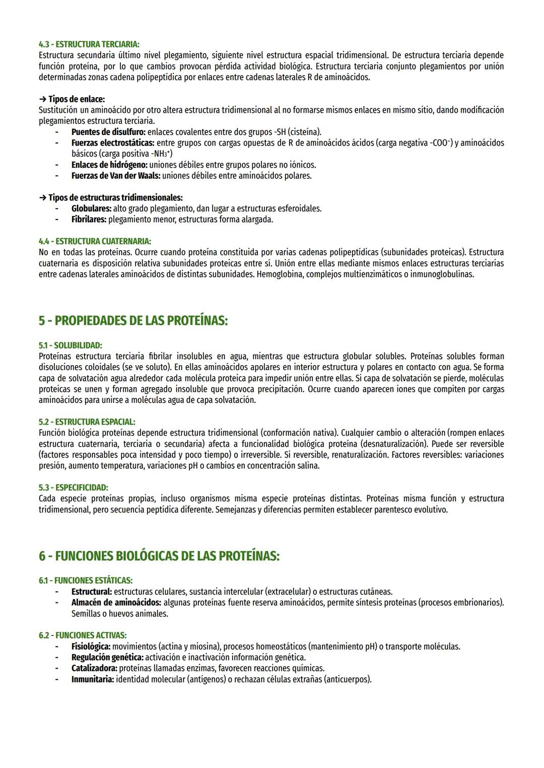 1- CARACTERÍSTICAS
GENERALES:
Proteínas son moléculas orgánicas más abundantes, 50% peso celular seco. Importancia por numerosas funciones b
