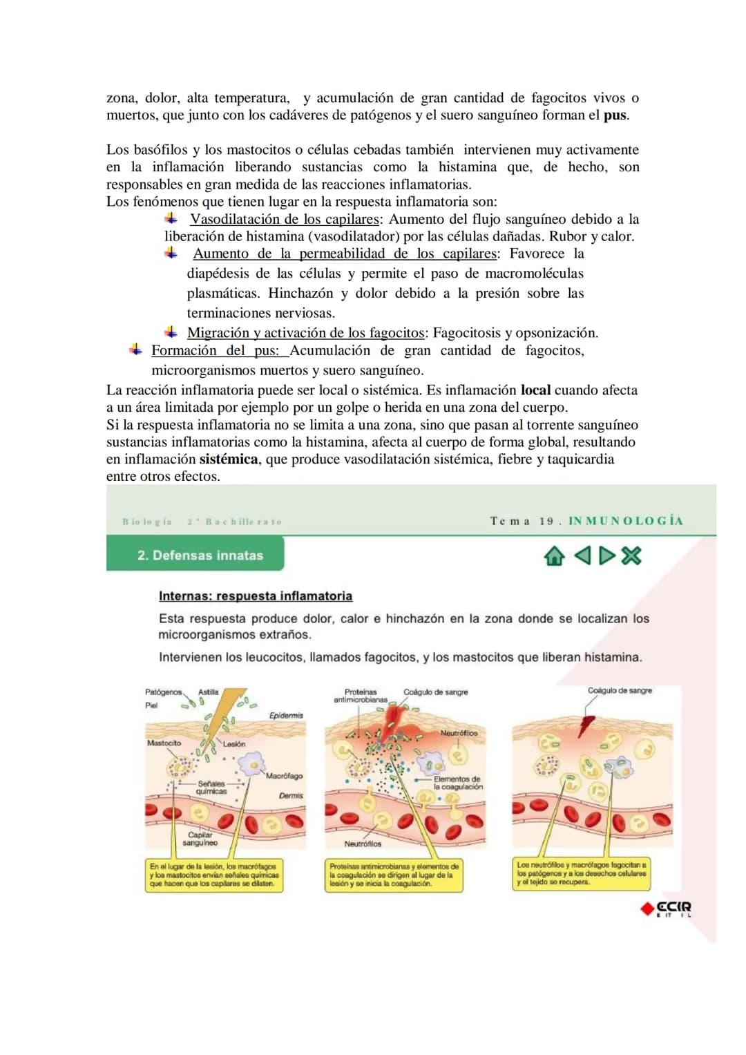 TEMA17: EL SISTEMA INMUNITARIO Y LA
INMUNIDAD
Mecanismos de defensa orgánica.
1.- Inespecíficos: Externos: componentes (piel y mucosas) y mo
