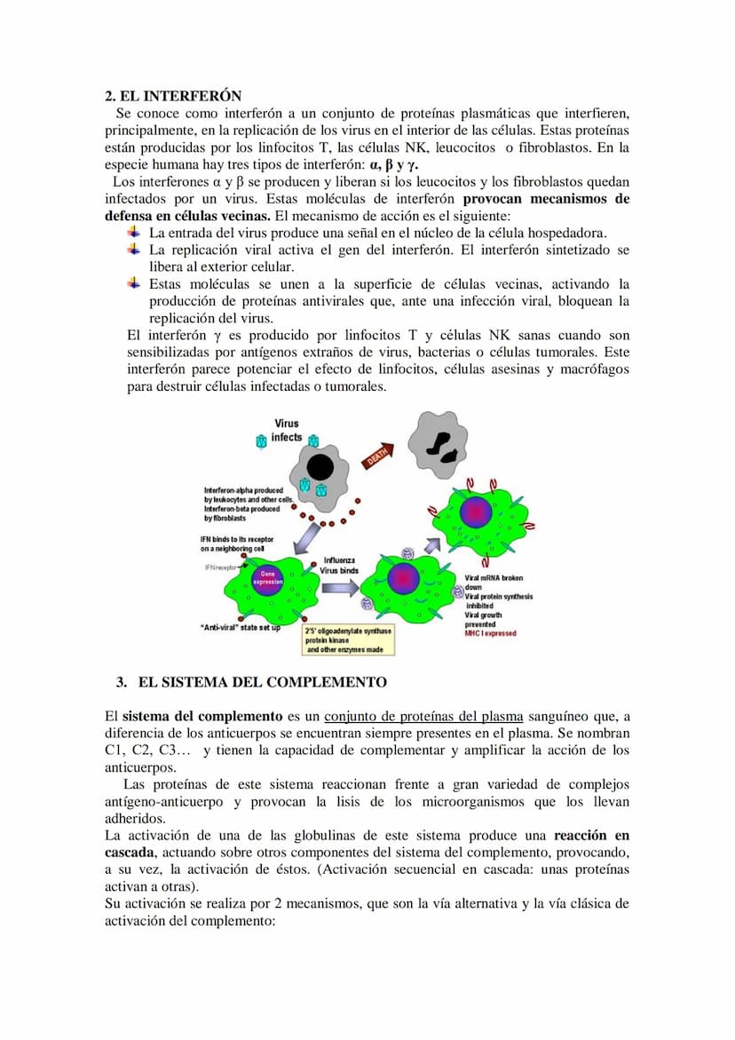 TEMA17: EL SISTEMA INMUNITARIO Y LA
INMUNIDAD
Mecanismos de defensa orgánica.
1.- Inespecíficos: Externos: componentes (piel y mucosas) y mo