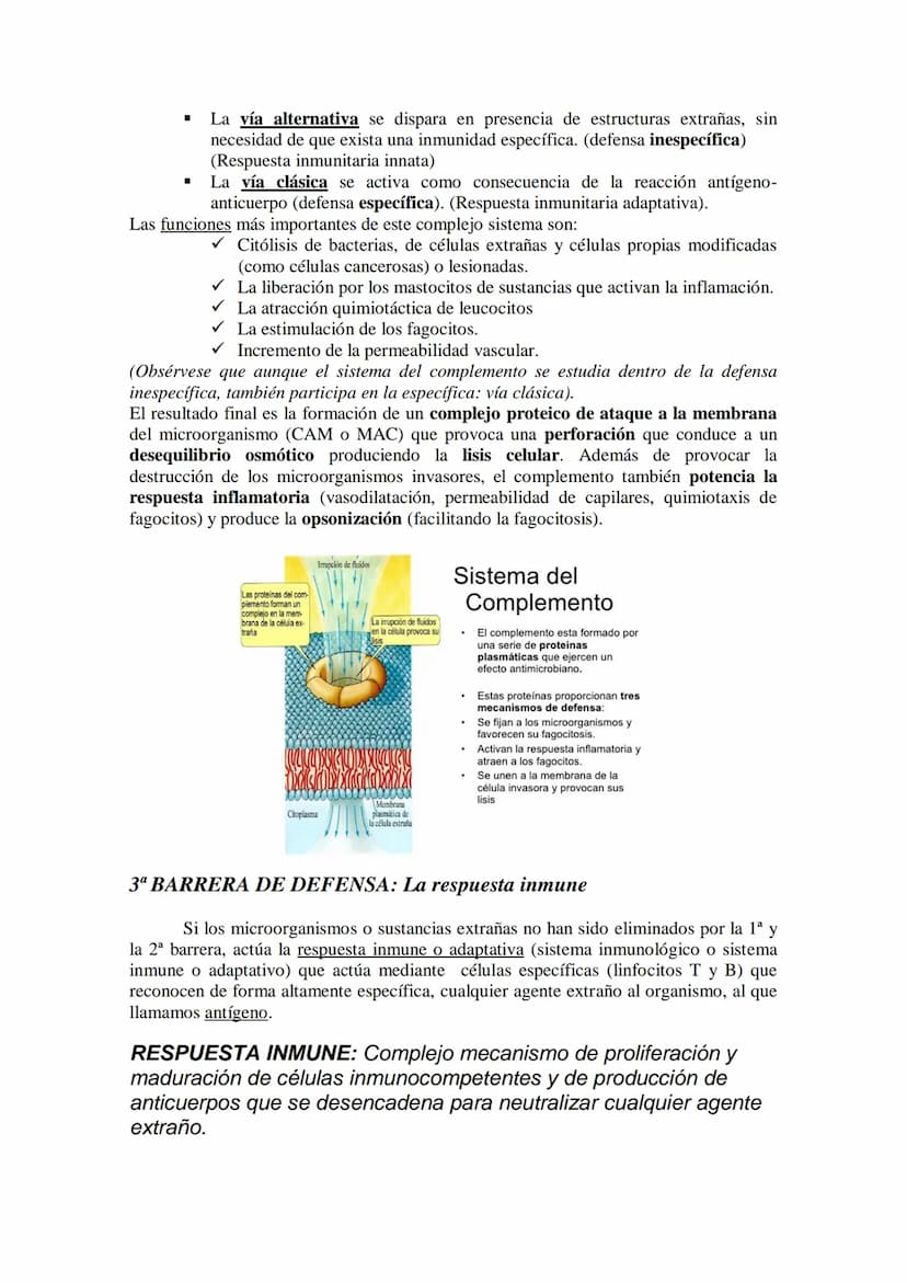 TEMA17: EL SISTEMA INMUNITARIO Y LA
INMUNIDAD
Mecanismos de defensa orgánica.
1.- Inespecíficos: Externos: componentes (piel y mucosas) y mo
