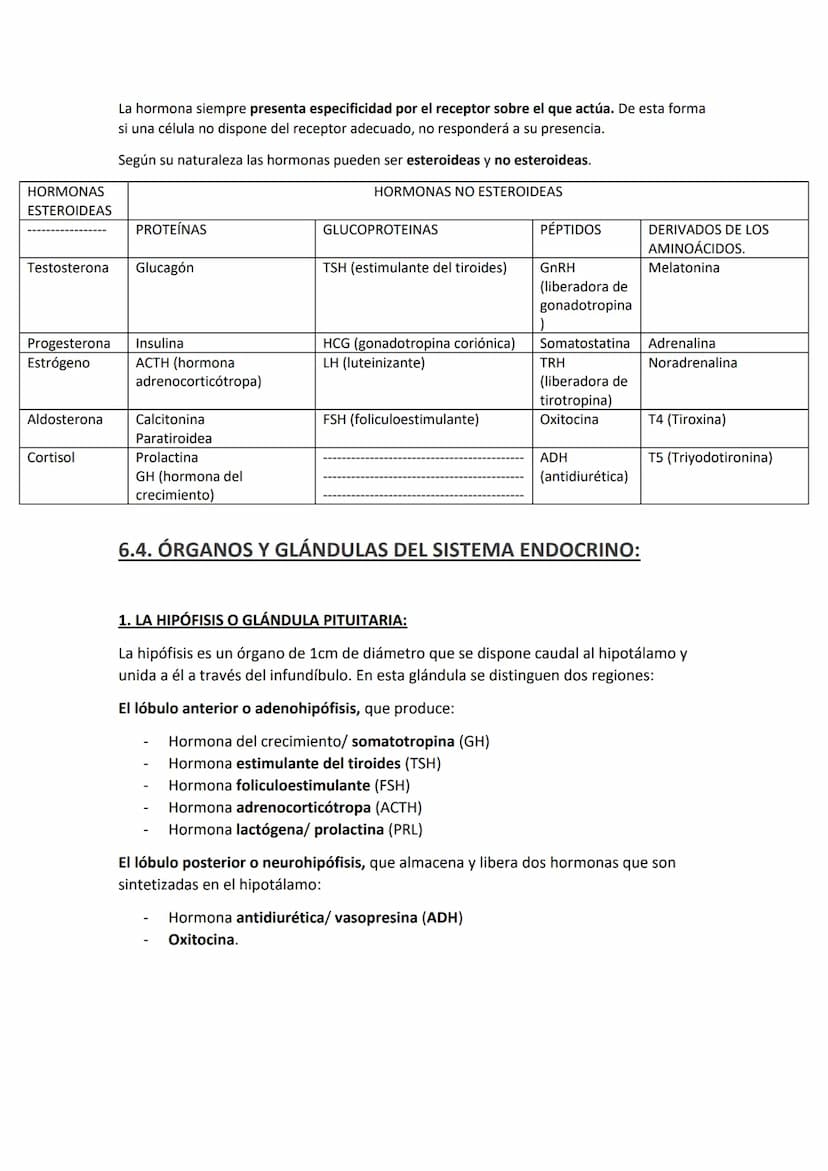 EL SISTEMA ENDOCRINO:
El sistema endocrino u hormonal está formado por un conjunto de células
especializadas en la síntesis y liberación de 