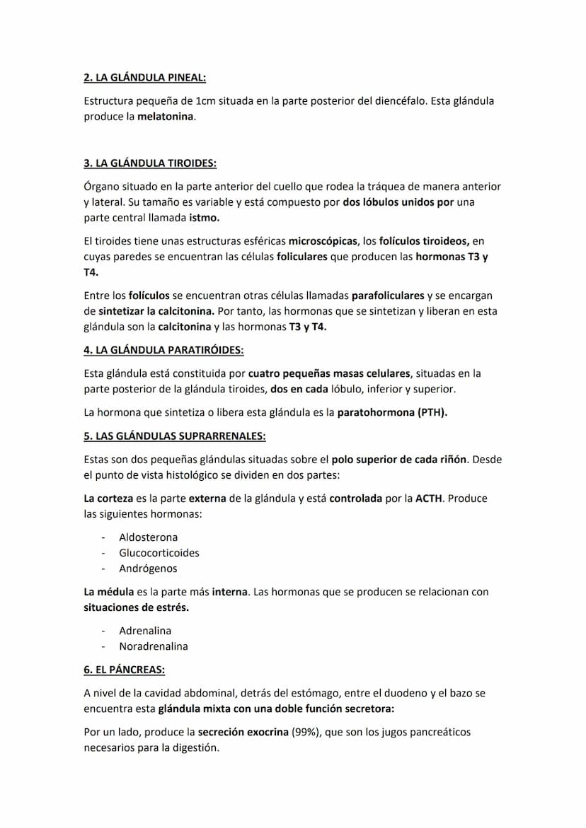 EL SISTEMA ENDOCRINO:
El sistema endocrino u hormonal está formado por un conjunto de células
especializadas en la síntesis y liberación de 