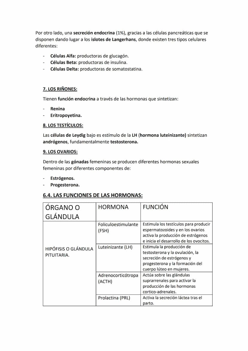 EL SISTEMA ENDOCRINO:
El sistema endocrino u hormonal está formado por un conjunto de células
especializadas en la síntesis y liberación de 