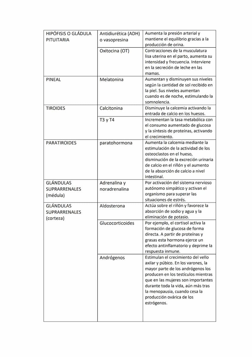 EL SISTEMA ENDOCRINO:
El sistema endocrino u hormonal está formado por un conjunto de células
especializadas en la síntesis y liberación de 