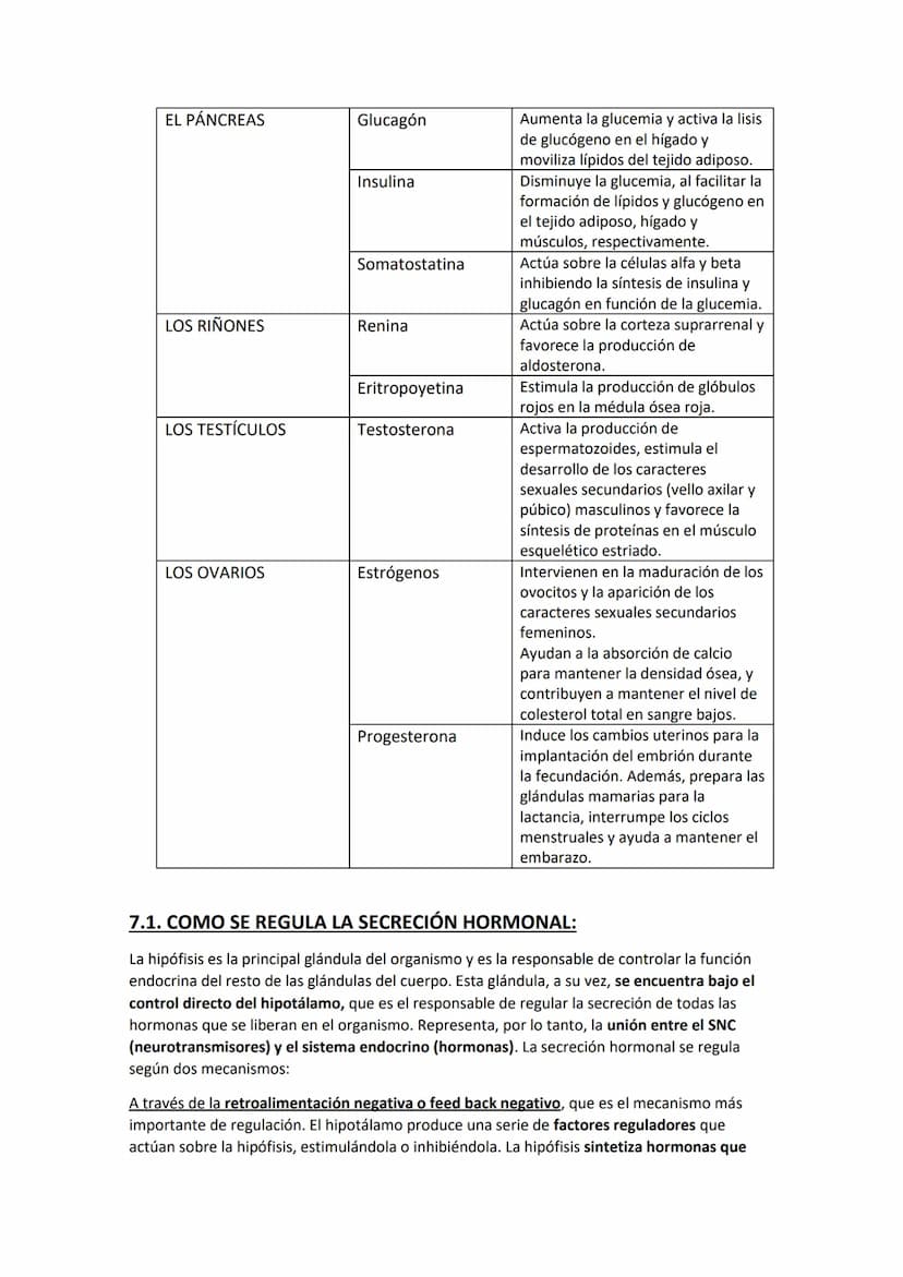 EL SISTEMA ENDOCRINO:
El sistema endocrino u hormonal está formado por un conjunto de células
especializadas en la síntesis y liberación de 