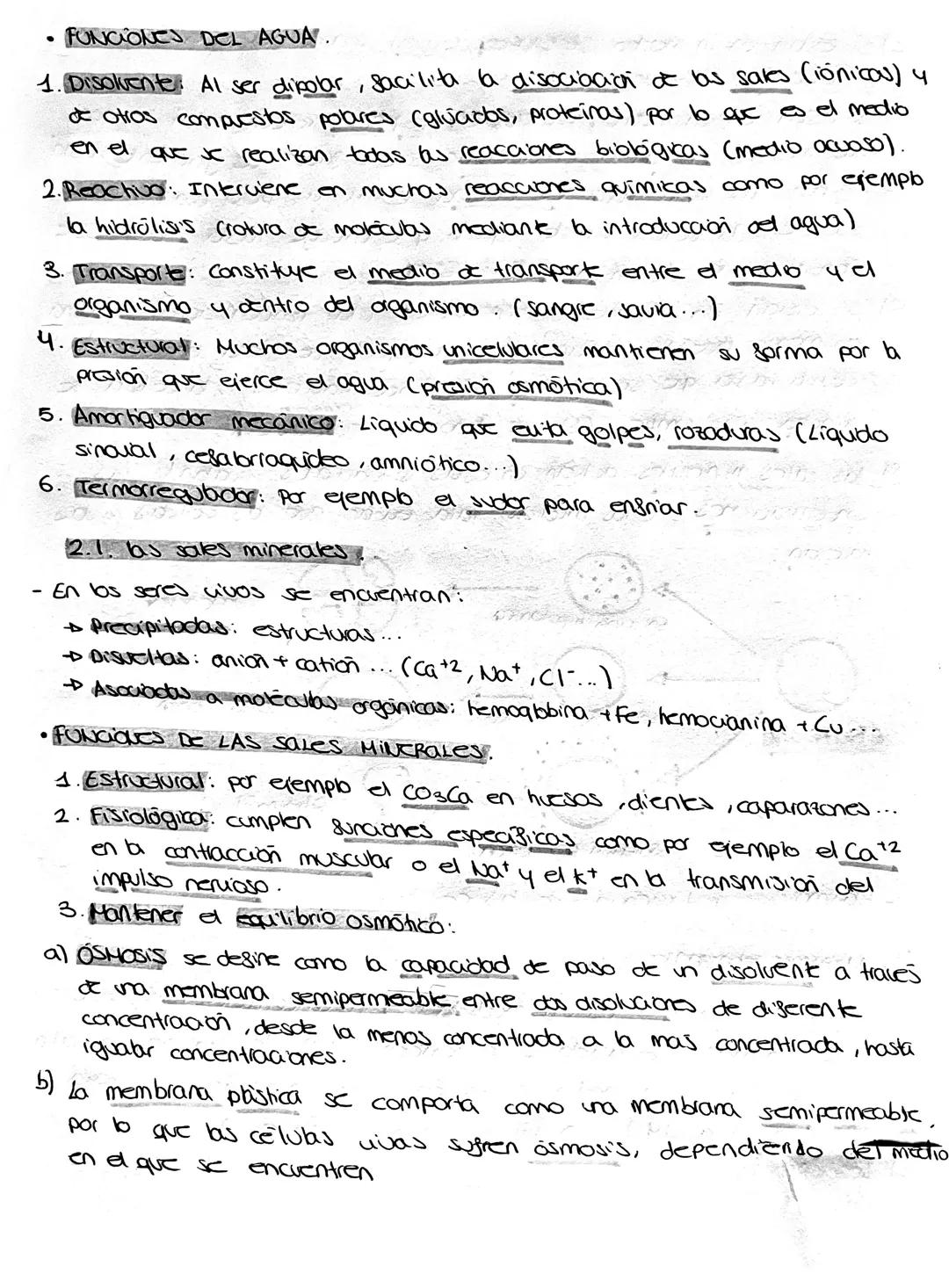 TEMA 2: Bioelementos y biomoléculas orgánicas.
4. Broelementas
- Los bioelementos son aquellos elementos químicos que constituyen
la materia