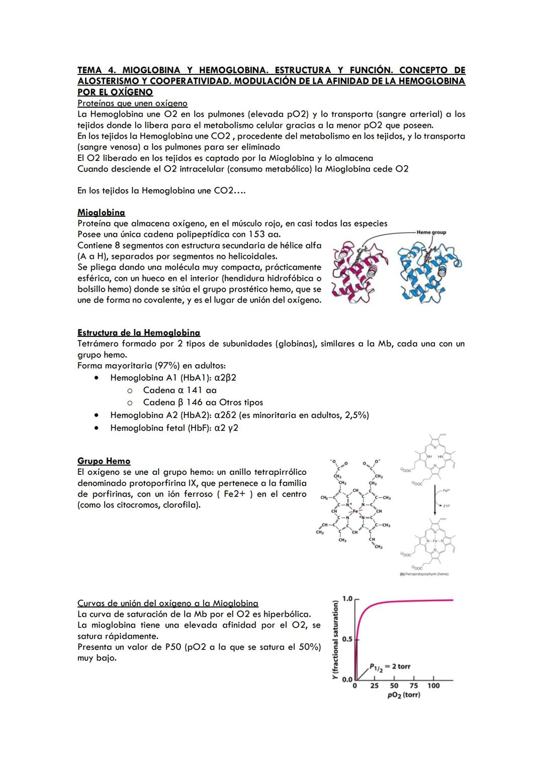 Diferencias entre Mioglobina y Hemoglobina