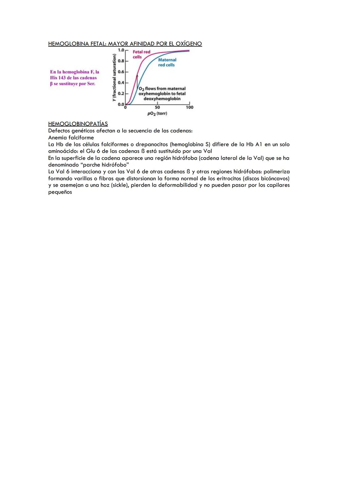 # TEMA 4. MIOGLOBINA Y HEMOGLOBINA. ESTRUCTURA Y FUNCIÓN. CONCEPTO DE
ALOSTERISMO Y COOPERATIVIDAD. MODULACIÓN DE LA AFINIDAD DE LA HEMOGLOB