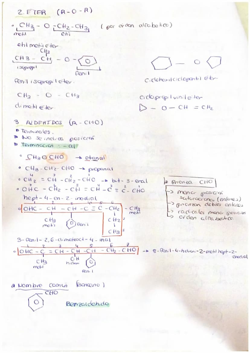 I QUIMICA ORGANICA
1 EL CARBONO
1
ESTRUCTURA
C party TETRAEDRICA
ENACE SIMPLE
ENLACE DOBLE -
2. esquema
> HIPROCARBUROS
c-c
S
=
acido
--ato 