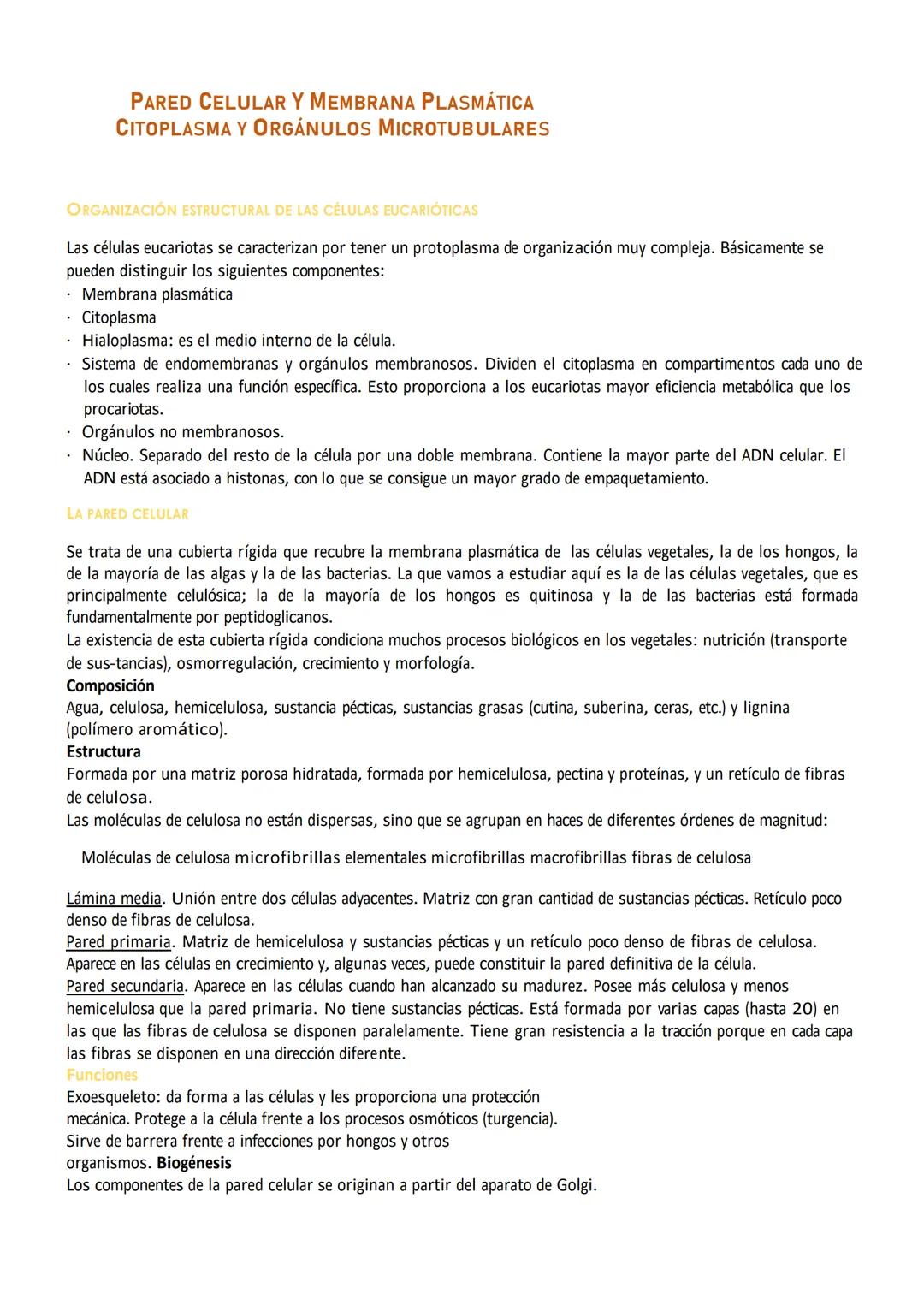 # PARED CELULAR Y MEMBRANA PLASMÁTICA
CITOPLASMA Y ORGÁNULOS MICROTUBULARES

ORGANIZACIÓN ESTRUCTURAL DE LAS CÉLULAS EUCARIÓTICAS

Las célul