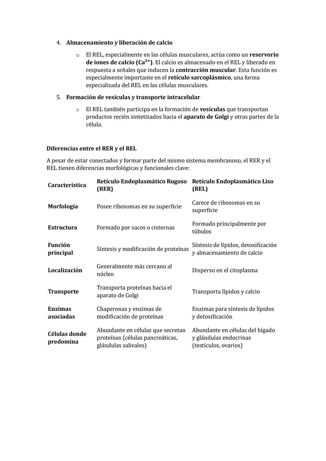 MORFOLOGÍA Y FUNCIONES DEL RETÍCULO ENDOPLASMÁTICO (REL Y RER)
El retículo endoplasmático (RE) es uno de los organelos más importantes en la