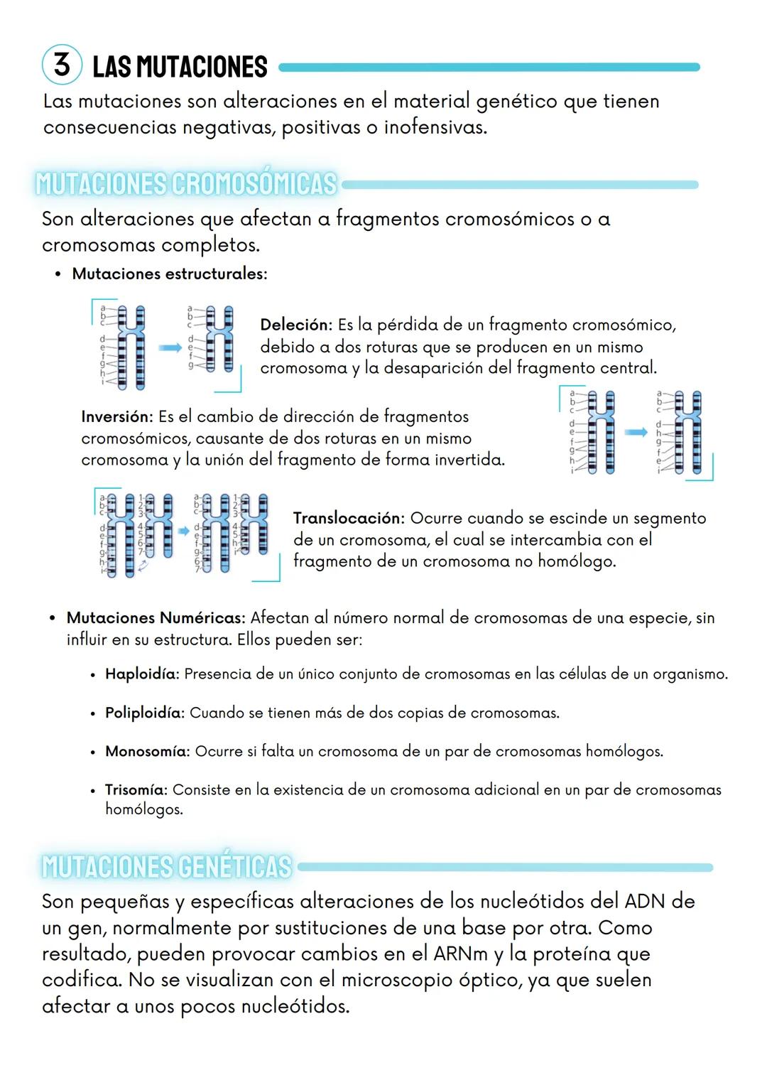 1
genética
ÁCIDOS NUCLÉICOS
molecular
ÁCIDO DESOXIRRIBONUCLEICO
Dobre hélice
de ADN
211
ADN de dobre DOGE
cadea
BOOE
BOGE
Esqueleto
de azucr