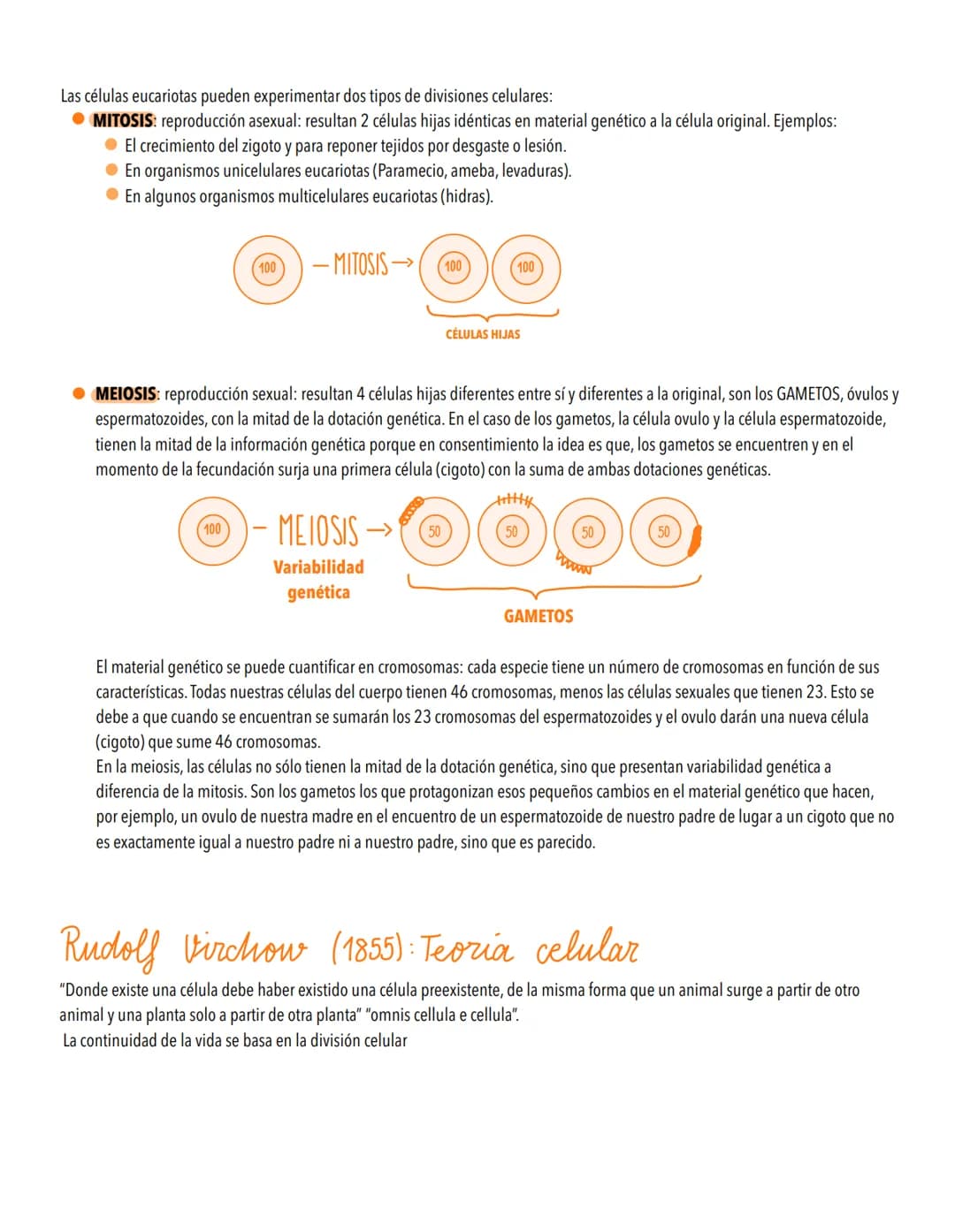 TEMA 4
EL CICLO CELULAR, PERPETUACIÓN DE LA ESPECIE
LA INFORMACIÓN GENETICA SE TRANSMITE DE UNA GENERACIÓN A OTRA
Introducción al ciclo celu