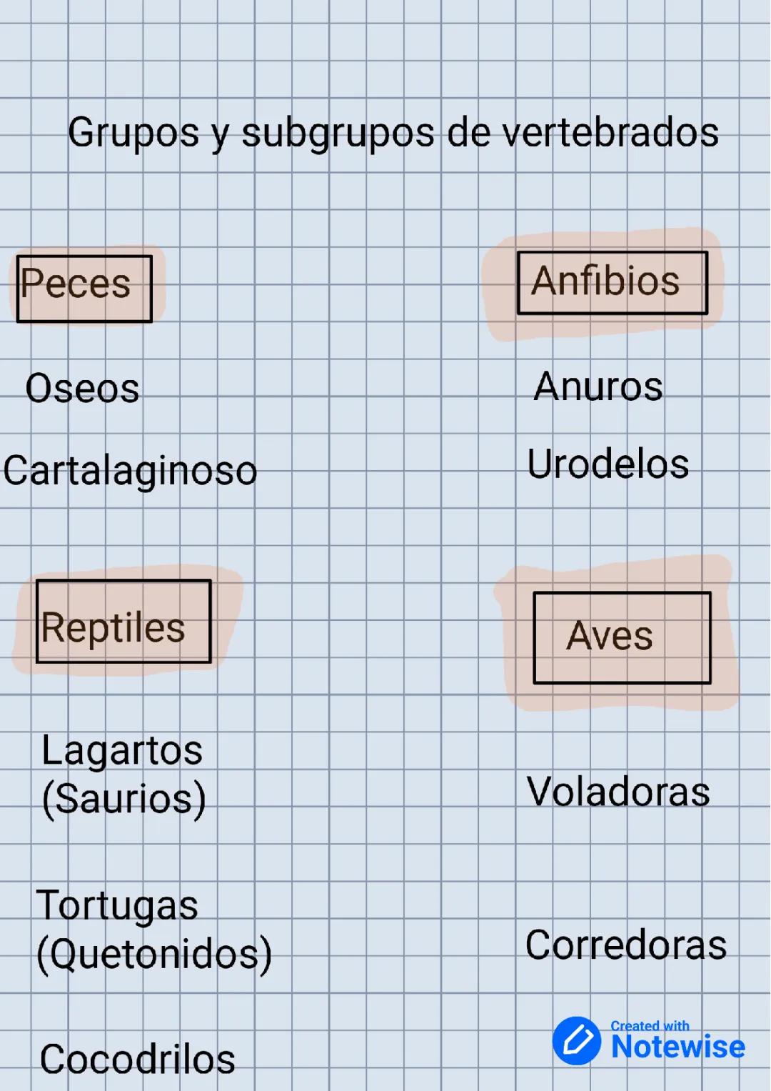 Examen y Apuntes de Vertebrados 1 ESO - Animales Vertebrados y Invertebrados