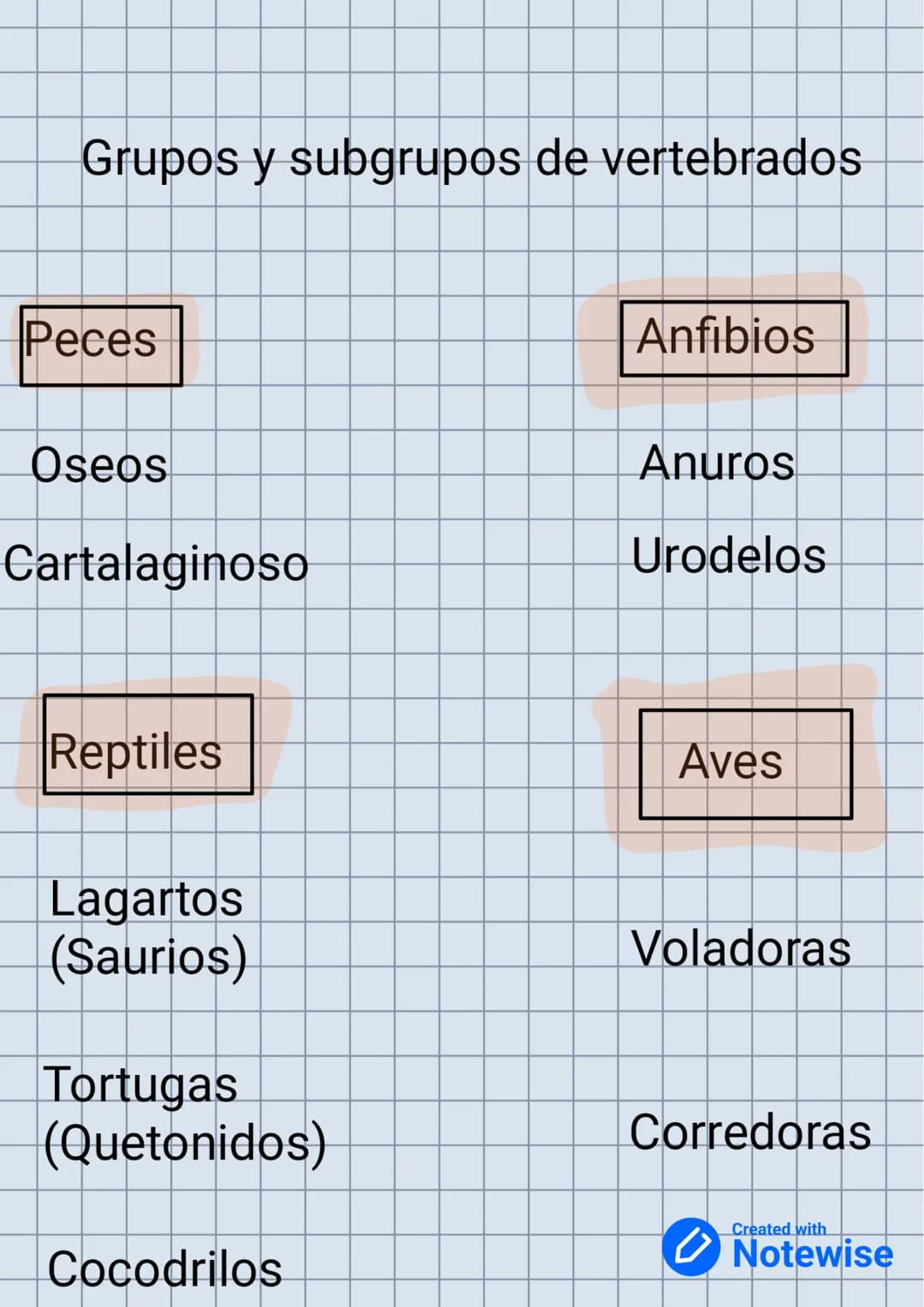 Grupos y subgrupos de vertebrados
Peces
Oseos
Cartalaginoso
Reptiles
Lagartos
(Saurios)
Tortugas
(Quetonidos)
Cocodrilos
Anfibios
Anuros
Uro