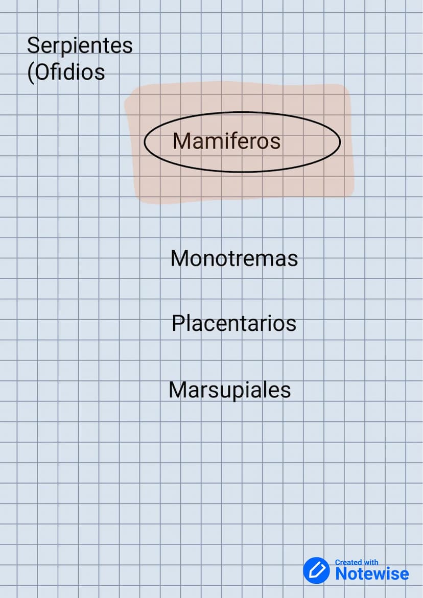 Grupos y subgrupos de vertebrados
Peces
Oseos
Cartalaginoso
Reptiles
Lagartos
(Saurios)
Tortugas
(Quetonidos)
Cocodrilos
Anfibios
Anuros
Uro