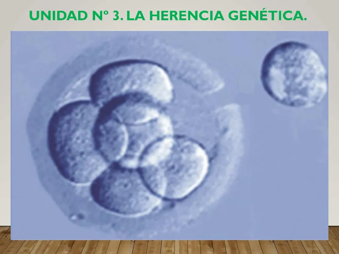 Presentación la Herencia Genética