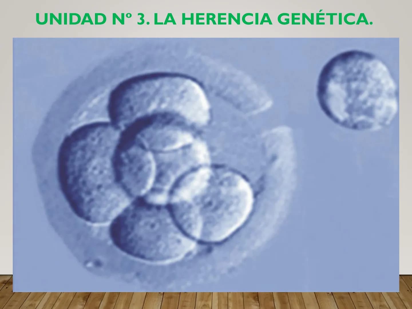 UNIDAD N° 3. LA HERENCIA GENÉTICA. 3.1. LOS PRINCIPIOS DE LA GENÉTICA MENDELIANA.
•La genética
Bateson, en 1906, fue el primero que se refir