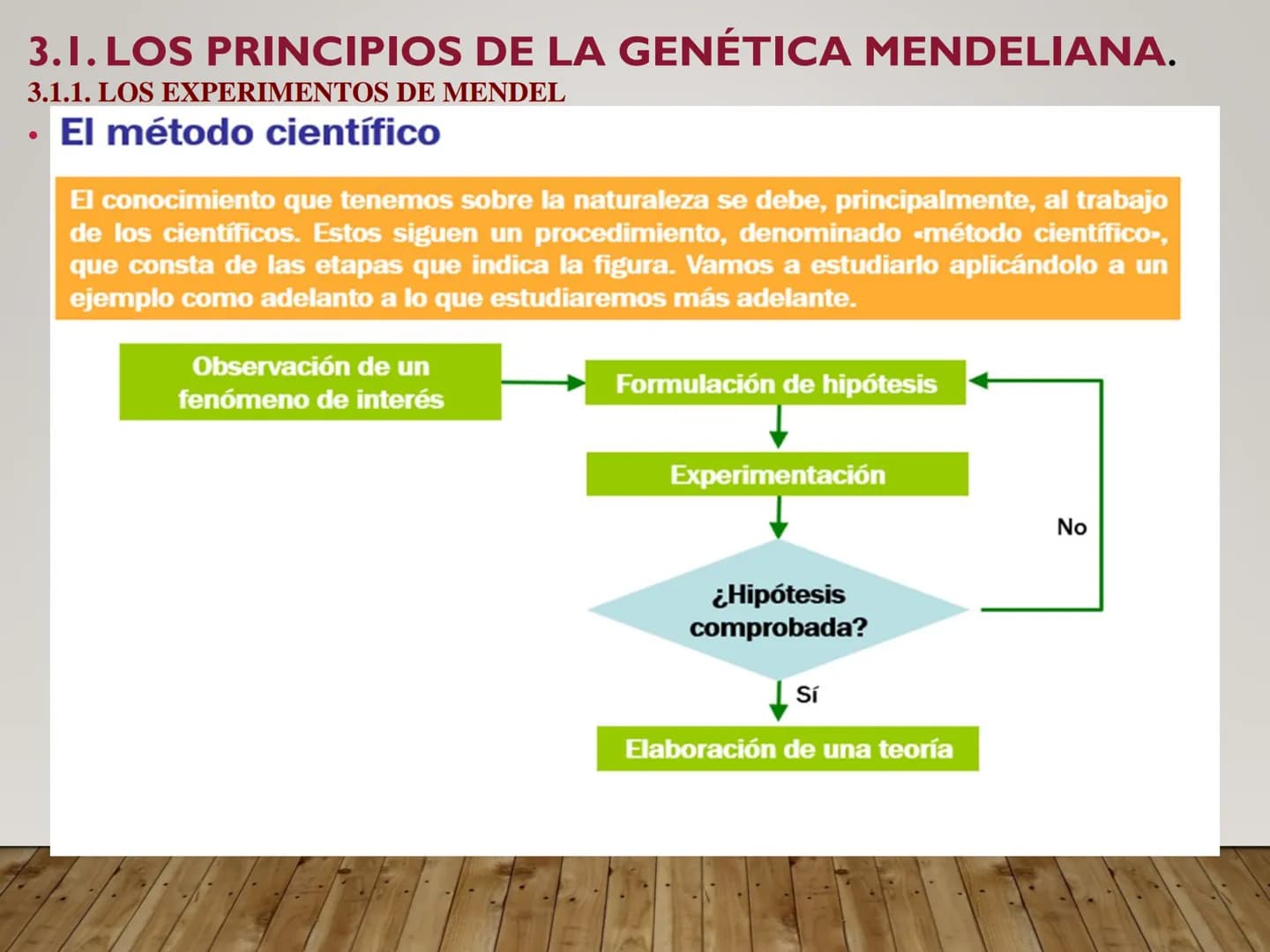UNIDAD N° 3. LA HERENCIA GENÉTICA. 3.1. LOS PRINCIPIOS DE LA GENÉTICA MENDELIANA.
•La genética
Bateson, en 1906, fue el primero que se refir