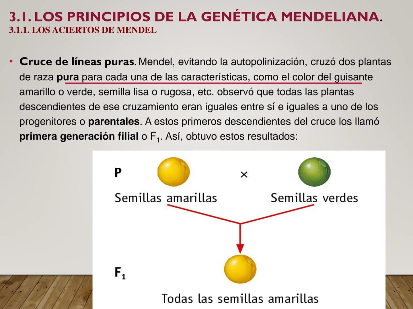 UNIDAD N° 3. LA HERENCIA GENÉTICA. 3.1. LOS PRINCIPIOS DE LA GENÉTICA MENDELIANA.
•La genética
Bateson, en 1906, fue el primero que se refir
