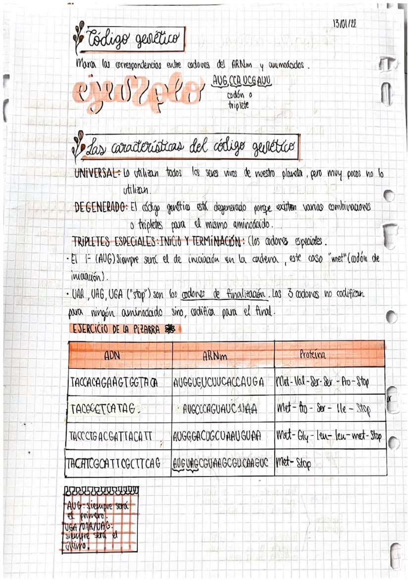 Selea
و دة ا
la e
1. Iv
no
2. §
3.
Da
la
O
J
P
f
r
GENES
y su manipulacion
Acidos nucleicos
DENTOSA Ribosa: ácido nocleico (ARM).
·Pesoxirib
