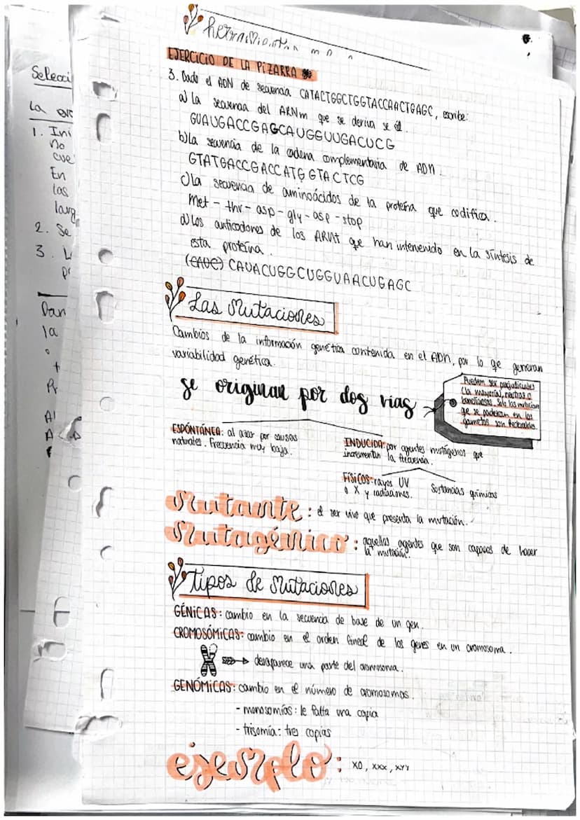 Selea
و دة ا
la e
1. Iv
no
2. §
3.
Da
la
O
J
P
f
r
GENES
y su manipulacion
Acidos nucleicos
DENTOSA Ribosa: ácido nocleico (ARM).
·Pesoxirib