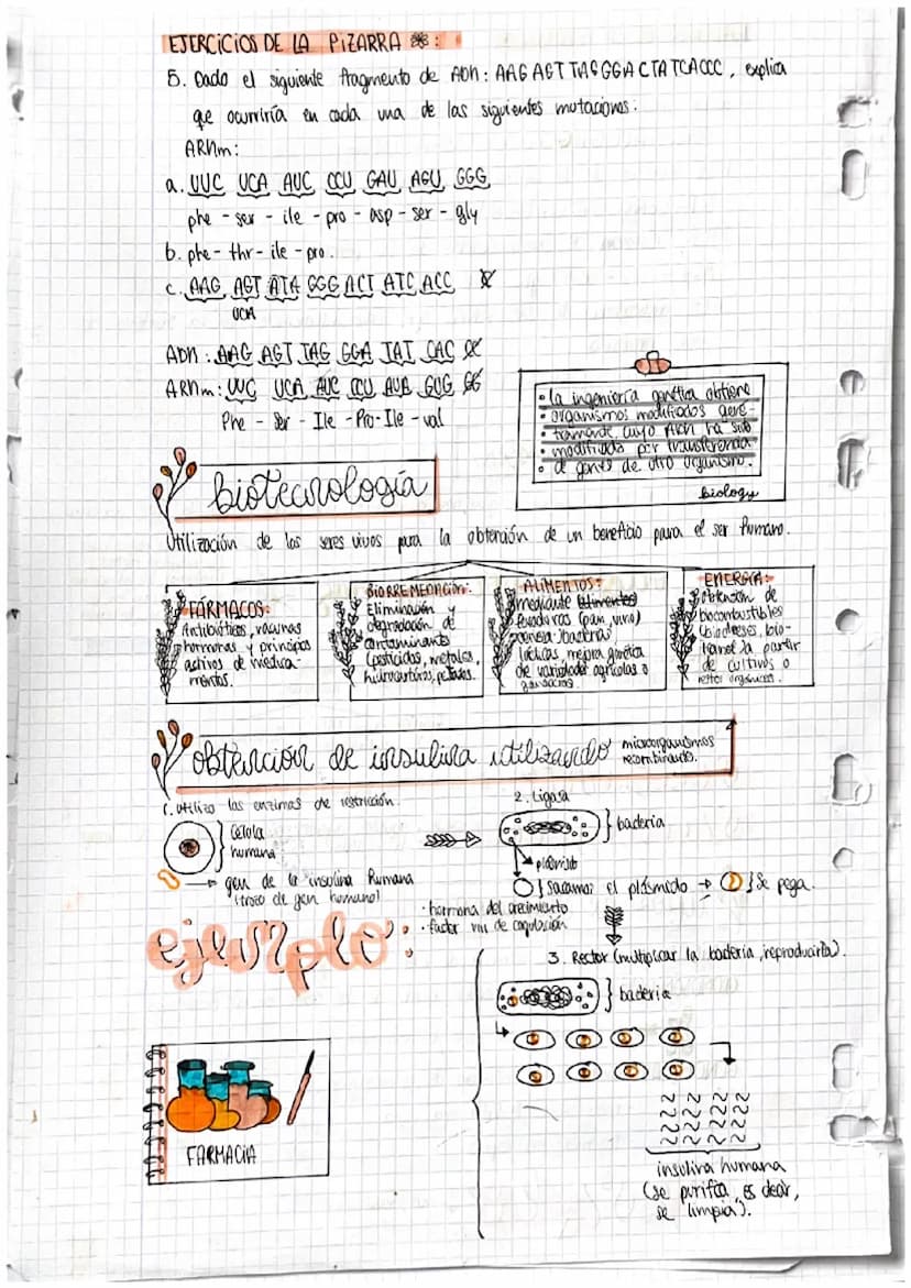 Selea
و دة ا
la e
1. Iv
no
2. §
3.
Da
la
O
J
P
f
r
GENES
y su manipulacion
Acidos nucleicos
DENTOSA Ribosa: ácido nocleico (ARM).
·Pesoxirib